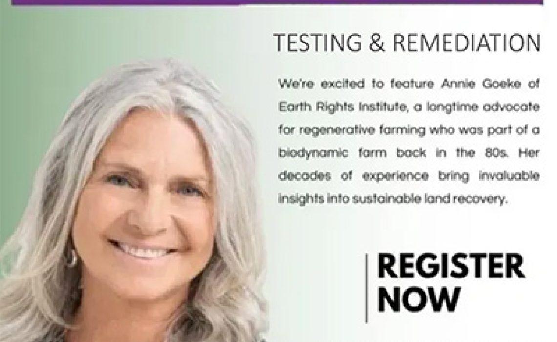 Screenshot 2026-02-20 at 3.24 reduc